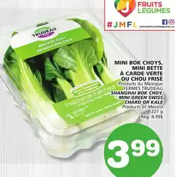 Marches Tradition FERMES TRUDEAU SHANGHAI BOK CHOY, MINI GREEN SWISS CHARD OR KALE offer