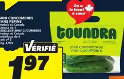 IGA SEEDLESS MINI CUCUMBERS offer
