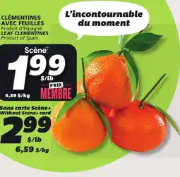 IGA LEAF CLEMENTINES offer
