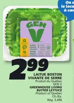 IGA GEN V GREENHOUSE LIVING BUTTER LETTUCE offer