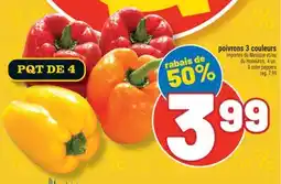 Marché Richelieu POIVRONS 3 COULEURS | 3 COLOR PEPPERS offer
