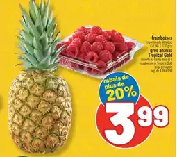 Marché Richelieu FRAMBOISES | RASPBERRIES offer