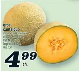 Marché Richelieu GROS CANTALOUP | LARGE CANTALOUPE offer