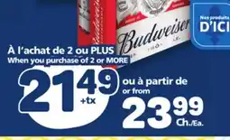 Marché Bonichoix BUDWEISER OR MOLSON EXPORT BEER offer