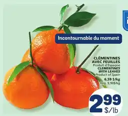 Marché Bonichoix CLEMENTINES WITH LEAVES offer