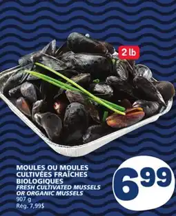 Marché Bonichoix FRESH CULTIVATED MUSSELS OR ORGANIC MUSSELS offer