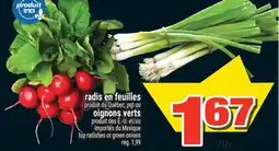 Super C RADIS EN FEUILLES | OIGNONS VERTS | TOP RADISHES OR GREEN ONIONS offer
