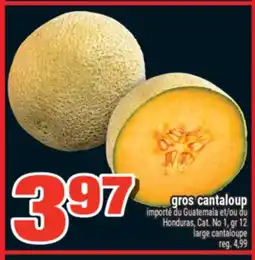 Super C GROS CANTALOUP | LARGE CANTALOUPE offer