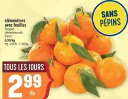 Marché Adonis CLÉMENTINES AVEC FEUILLES | CLEMENTINES WITH LEAVES offer