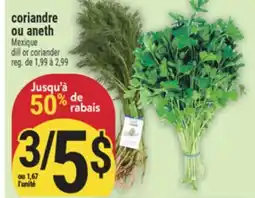 Marché Adonis CORIANDRE OU ANETH | DILL OR CORIANDER offer