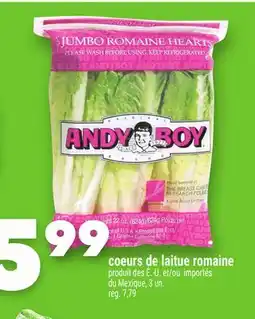 Marche Ami Coeurs de laitue romaine Andy Boy offer