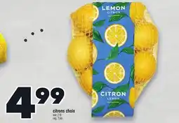 Marche Ami Citrons choix offer