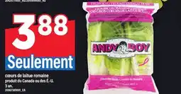 Maxi CŒURS DE LAITUE ROMAINE, 3 UN offer