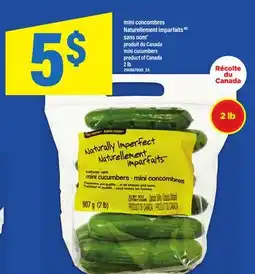 Maxi MINI CONCOMBRES NATURELLEMENT IMPARFAITS MC SANS NOM | MINI CUCUMBERS, 2 LB offer