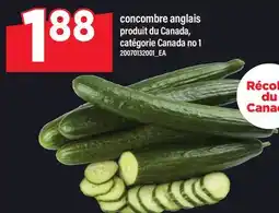 Maxi CONCOMBRE ANGLAIS offer