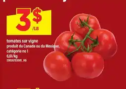 Maxi TOMATES SUR VIGNE offer