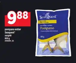 Maxi POMPANO ENTIER SEAQUEST offer