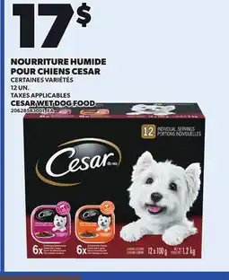 Provigo CESAR WET DOG FOOD, 12 UN offer