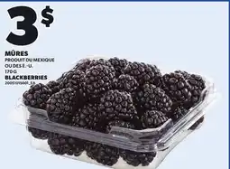 Provigo BLACKBERRIES offer