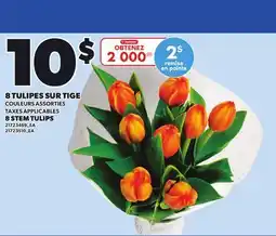 Provigo 8 STEM TULIPS offer
