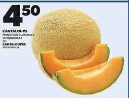Provigo CANTALOUPES, CH offer