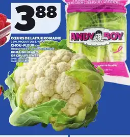 Provigo ROMAINE HEARTS OR CAULIFLOWER offer