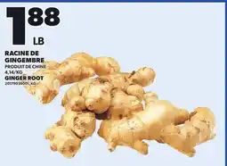 Provigo GINGER ROOT offer
