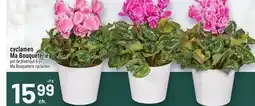 Metro CYCLAMEN MA BOUQUETERIE | MA BOUQUETERIE CYCLAMEN offer