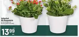 Metro KALANCHOÉ MA BOUQUETERIE | MA BOUQUETERIE KALANCHOE offer