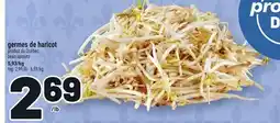 Metro GERMES DE HARICOT | BEAN SPROUTS offer