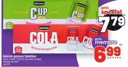 Metro BOISSON GAZEUSE SELECTION | SELECTION SOFT DRINK offer