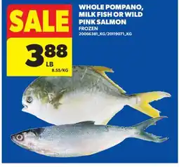 Real Canadian Superstore WHOLE POMPANO, MILK FISH OR WILD PINK SALMON offer