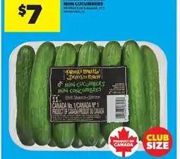 Real Canadian Superstore MINI CUCUMBERS, 11' S offer