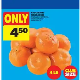 Real Canadian Superstore NADORCOTT MANDARINS offer