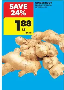 Real Canadian Superstore GINGER ROOT offer