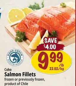 Farm Boy Coho Salmon Fillets offer