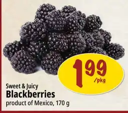 Farm Boy Sweet & Juicy Blackberries offer