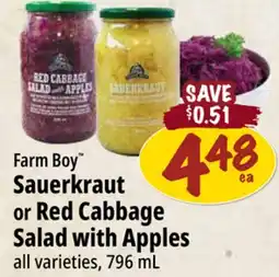 Farm Boy Farm Boy Sauerkraut or Red Cabbage Salad with Apples offer