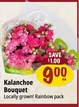 Farm Boy Kalanchoe Bouquet offer