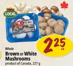 Farm Boy Whole Brown or White Mushrooms offer