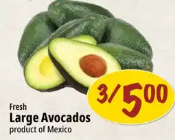 Farm Boy Fresh Large Avocados offer