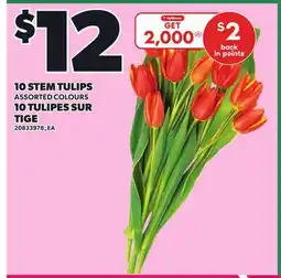 Independent Grocer 10 STEM TULIPS ASSORTED COLOURS offer