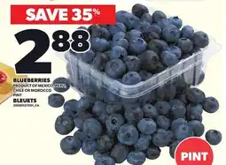 Independent Grocer BLUEBERRIES, PRODUCT OF MEXICO, PERU, CHILE OR MOROCCO, PINT offer
