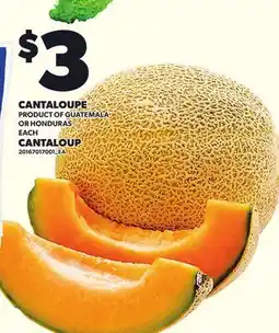 Independent Grocer CANTALOUPE, EACH offer