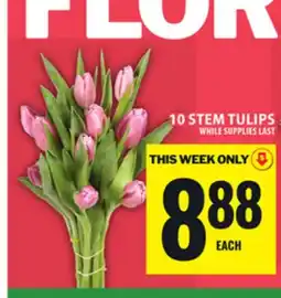 Food Basics 10 STEM TULIPS offer