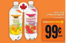 Food Basics SELECTION SPARKLING WATER offer