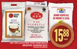 Food Basics Y&Y OR LUCKY KOI THAI HOM MALI, MEKONG JASMINE RICE offer