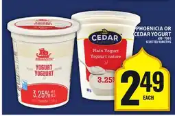 Food Basics PHOENICIA OR CEDAR YOGURT offer