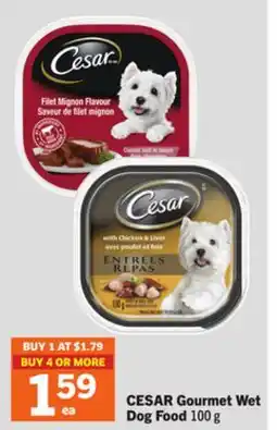 Foodland CESAR Gourmet Wet Dog Food offer