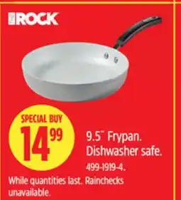 Canadian Tire 9.5˝ Frypan. Dishwasher safe offer